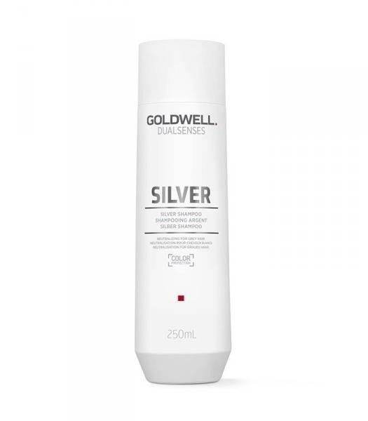 pol_pl_Goldwell-Dualsenses-Silver-Szampon-do-Wlosow-Blond-lub-Siwych-250ml-2764_1.jpg